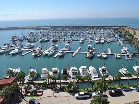 {{brizy_dc_image_alt entityId=