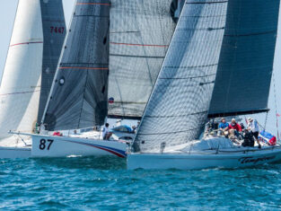 {{brizy_dc_image_alt entityId=