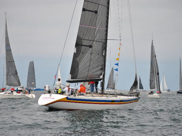 {{brizy_dc_image_alt entityId=